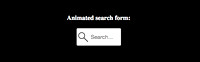 Animated Search Form