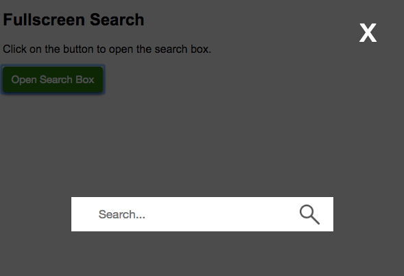 Full Screen Search Box